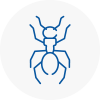 Ant Removals In Woodford