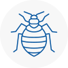Bed Bug Extermination In Woodford