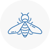 Bee Nest Removal Woodford