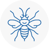 Woodford Hornet Nest Removals