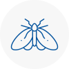 Moth Control Specialists In Woodford