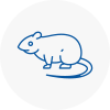 Rat Control Woodford