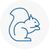 Woodford Rodent Removals