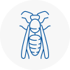 Woodford Wasp Nest Removal